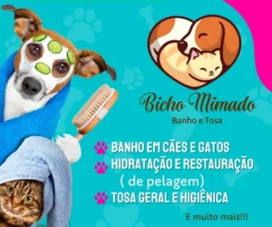 Bicho Mimado Banho e Tosa - Cesário Lange Foto (17)